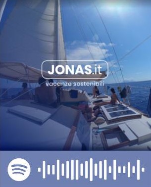 Scopri la playlist Spotify con Jonas