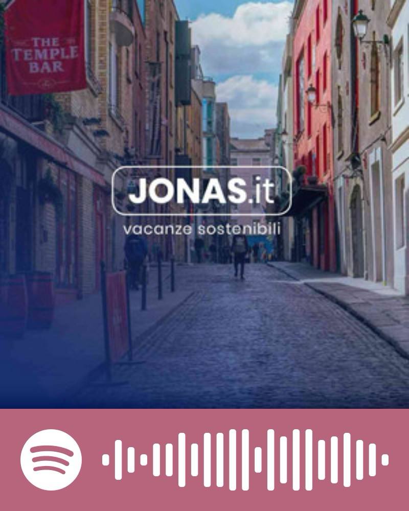 Scopri la playlist Spotify con Jonas