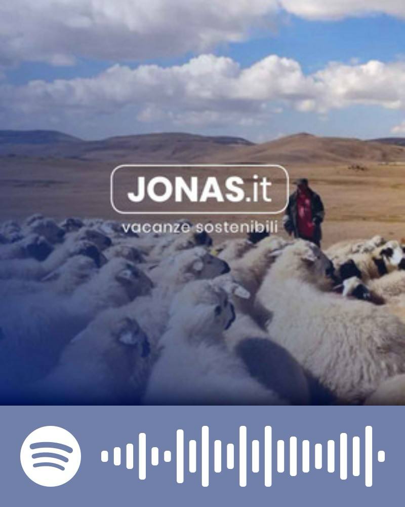 Scopri la playlist Spotify con Jonas