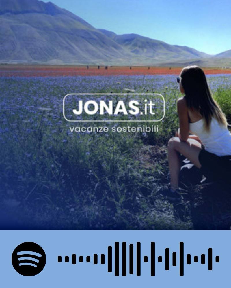 Scopri la playlist Spotify