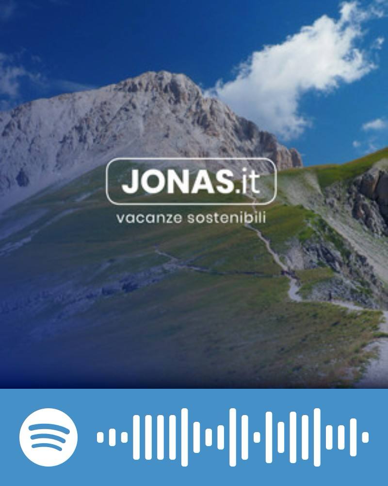 Scopri la playlist Spotify con Jonas