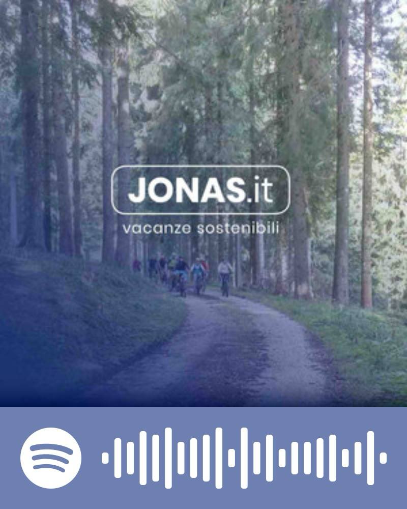 Scopri la playlist Spotify con Jonas