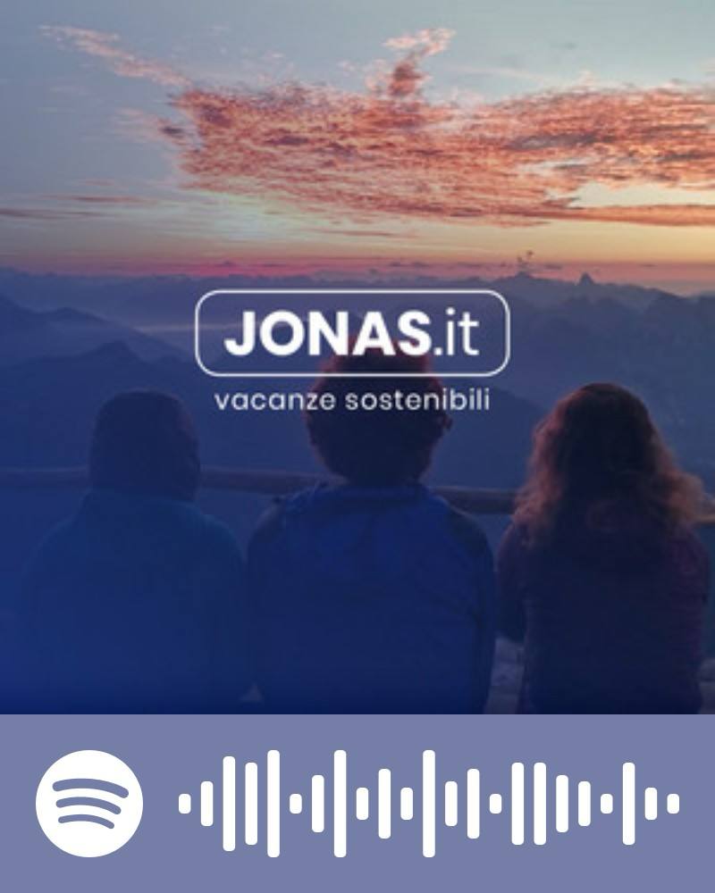 Scopri la playlist Spotify con Jonas