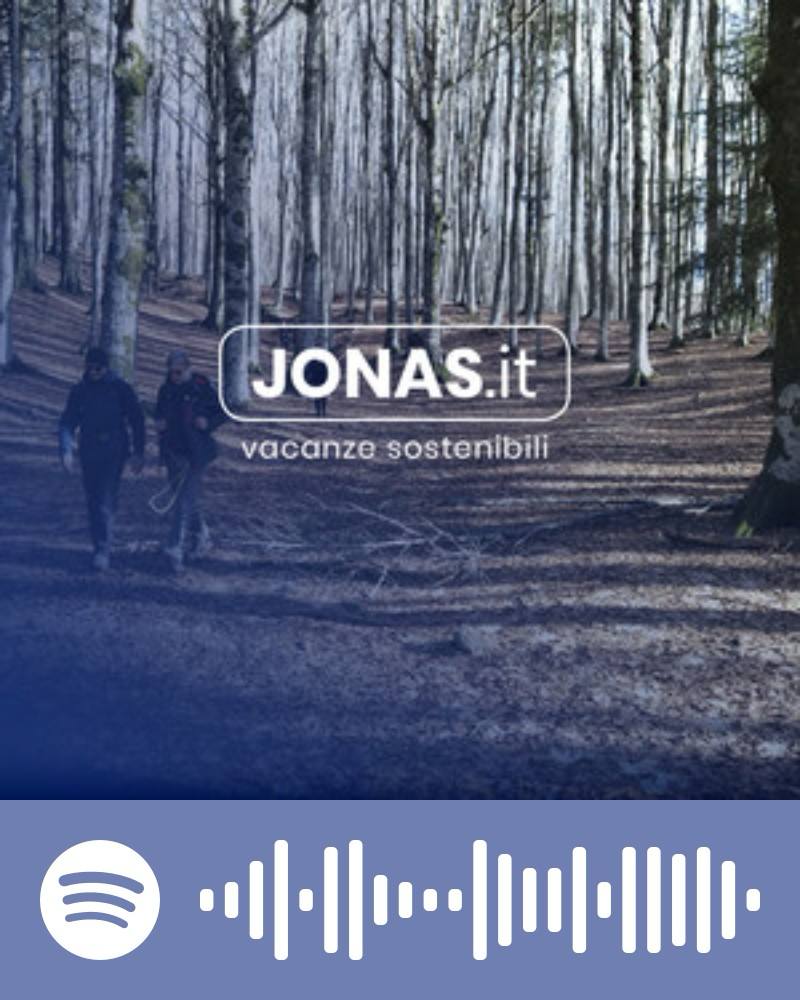 Scopri la playlist Spotify con Jonas