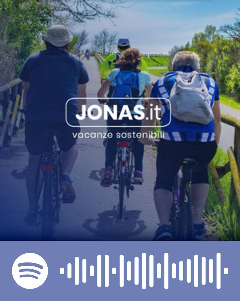 Scopri la playlist Spotify con Jonas