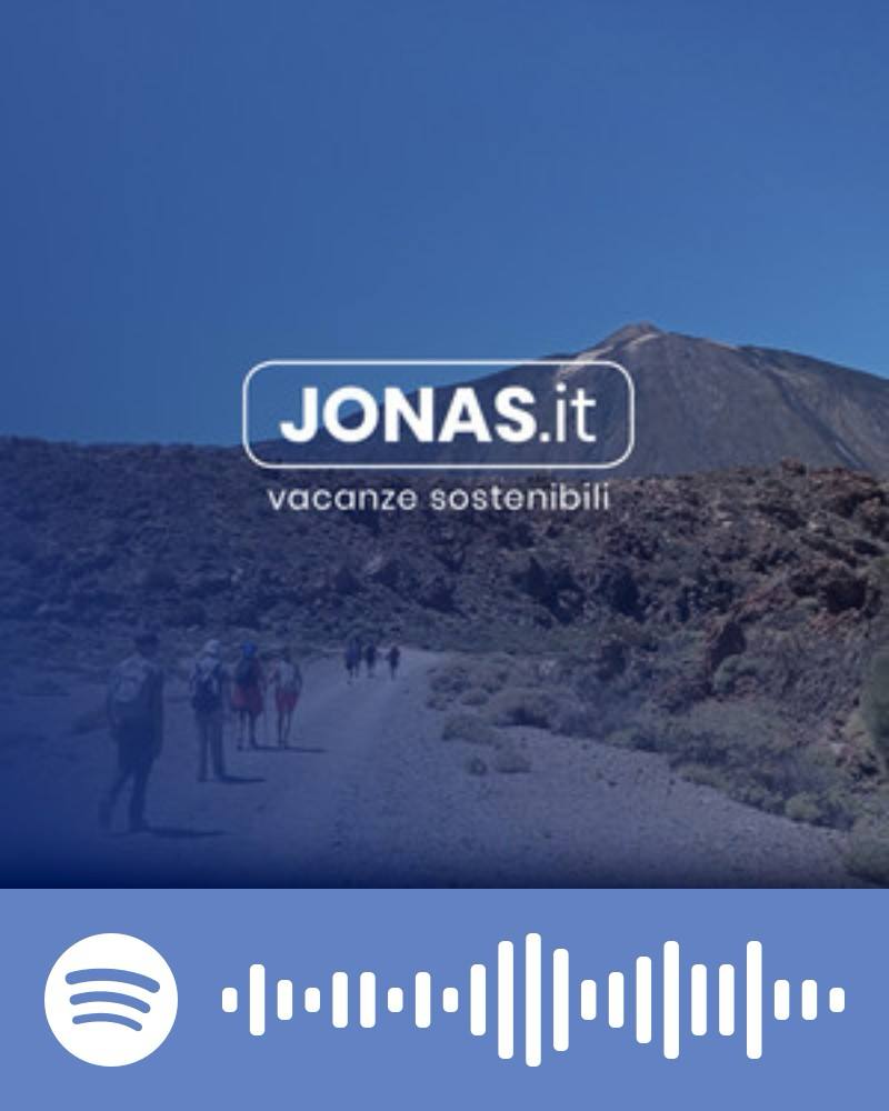 Scopri la playlist Spotify con Jonas
