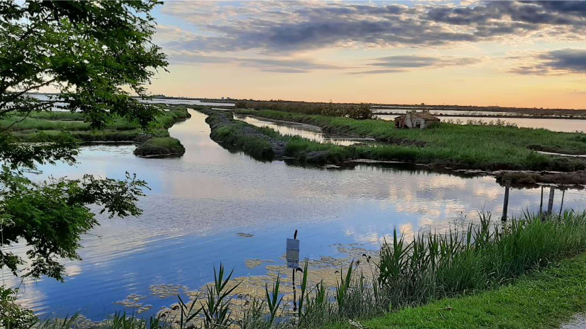 visita guidata del Delta del Po