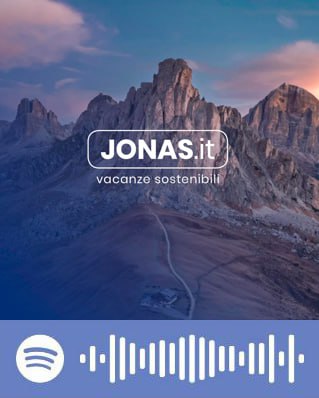 scopri la playlist Spotify di Jonas