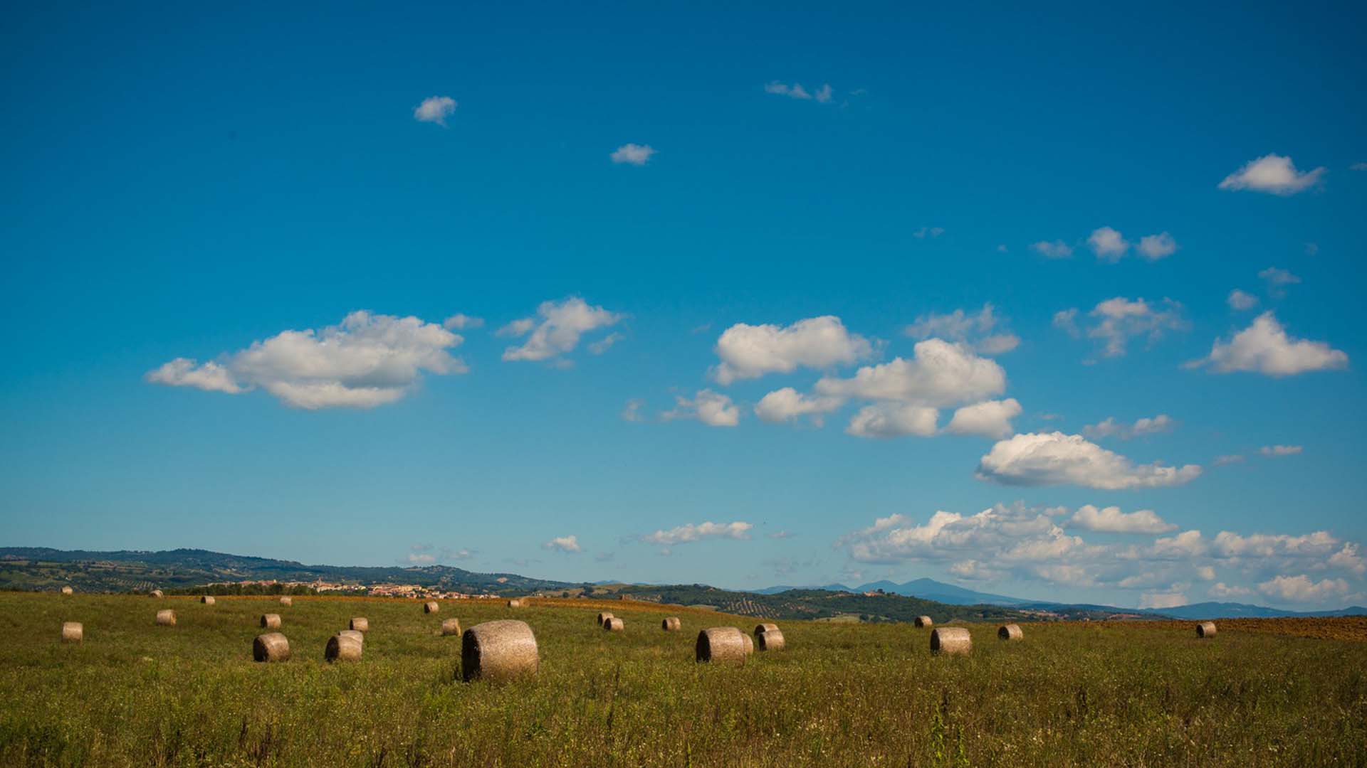 Vacanza in bicicletta in Toscana con guida