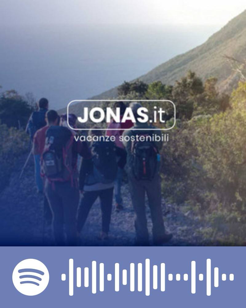 Scopri la playlist Spotify con Jonas
