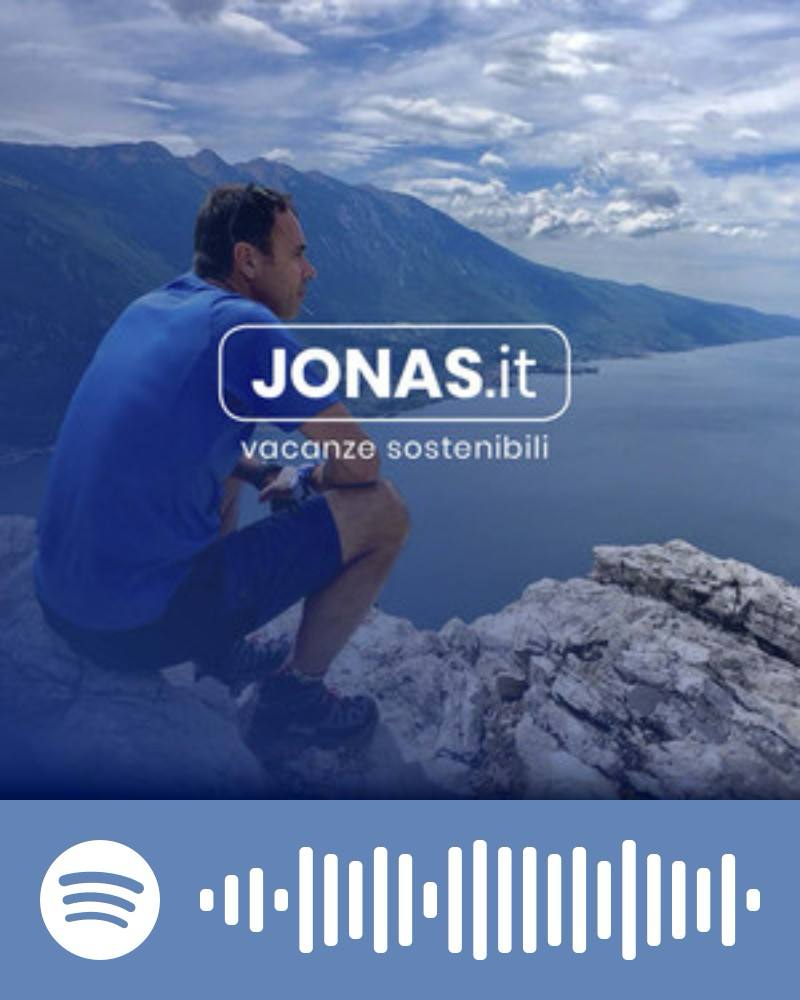 Scopri la playlist Spotify con Jonas