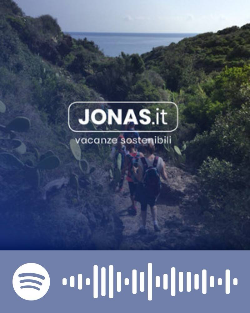Scopri la playlist Spotify con Jonas