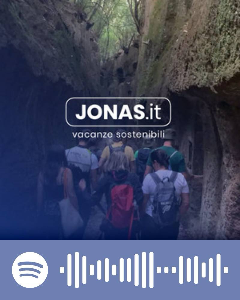 Scopri la playlist Spotify con Jonas