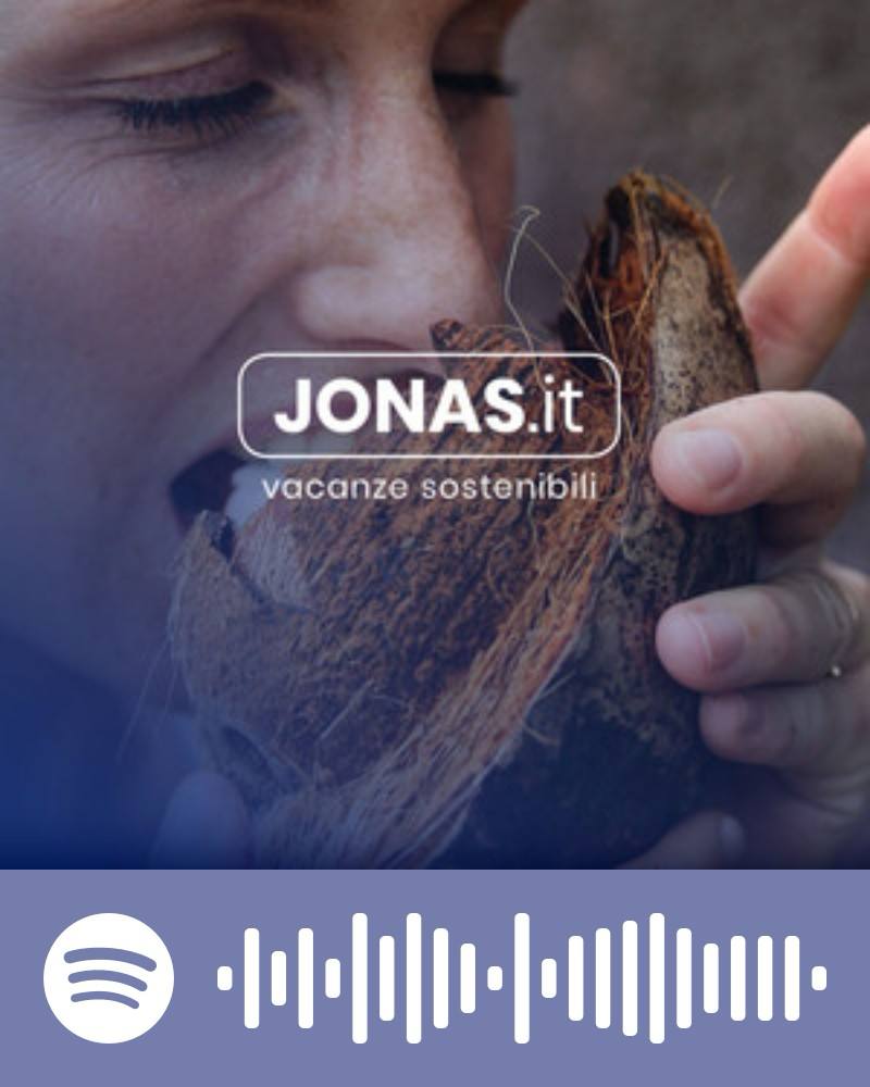 Scopri la playlist Spotify con Jonas