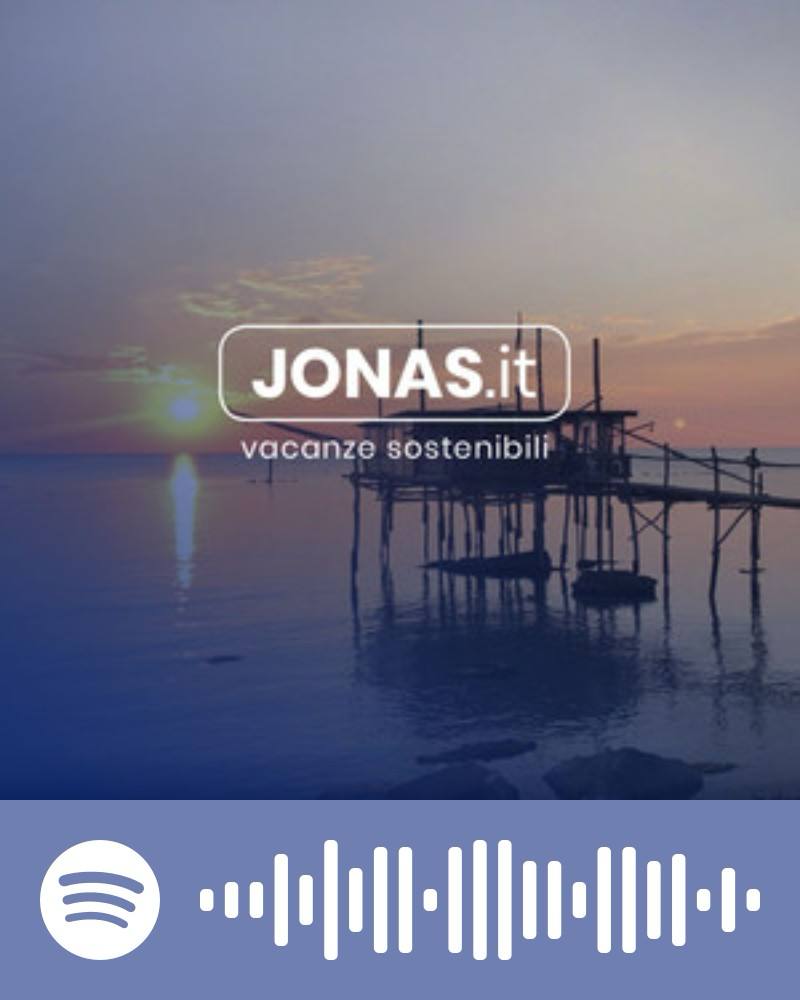Scopri la playlist Spotify con Jonas