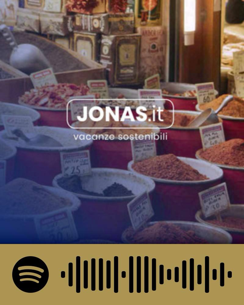 Scopri la playlist Spotify con Jonas
