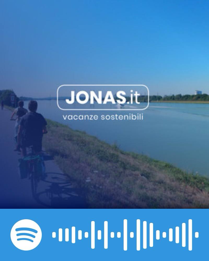 Scopri la playlist Spotify con Jonas