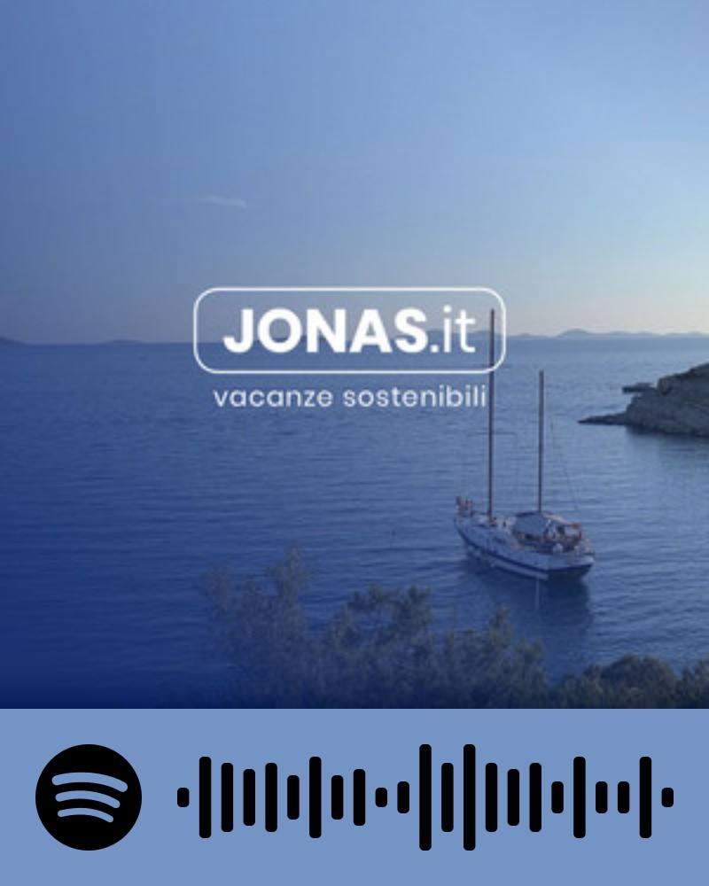 scopri la playlist Jonas