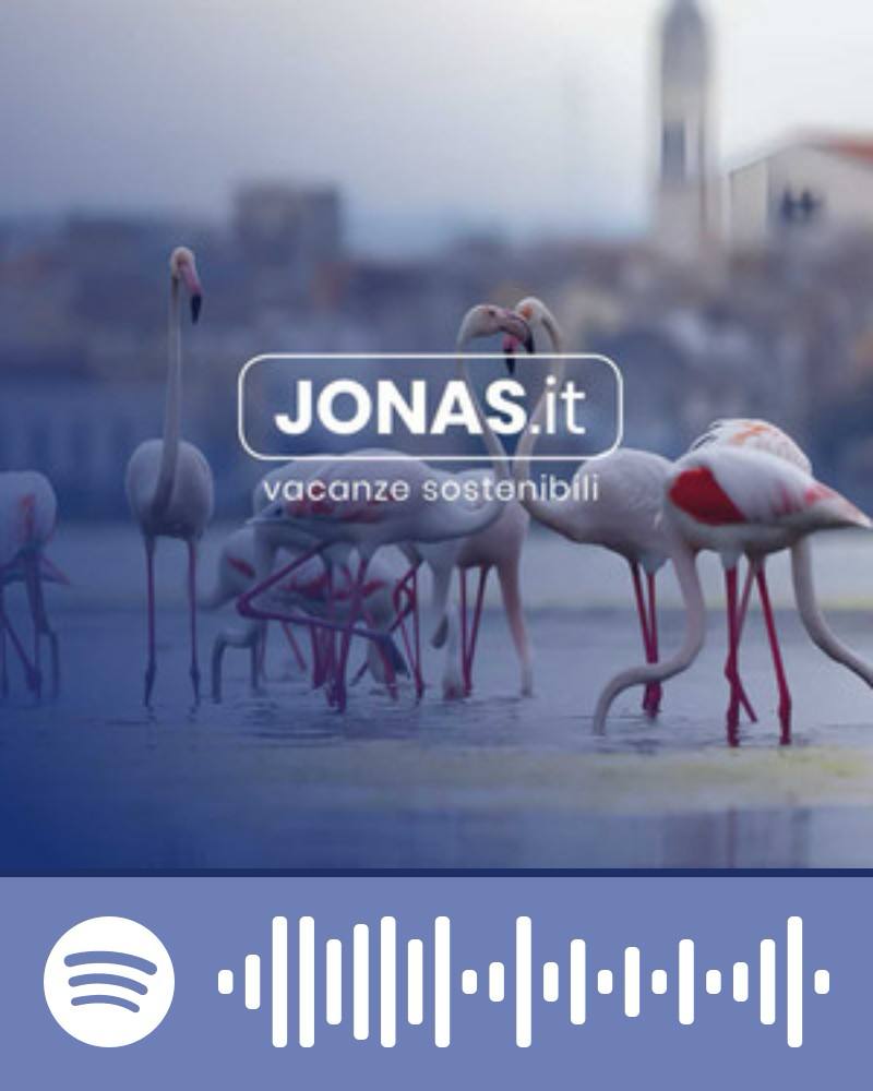 playlist Jonas Spotify