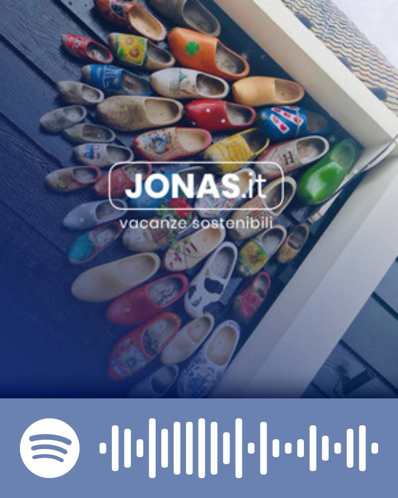 scopri playlist spotify AMSID