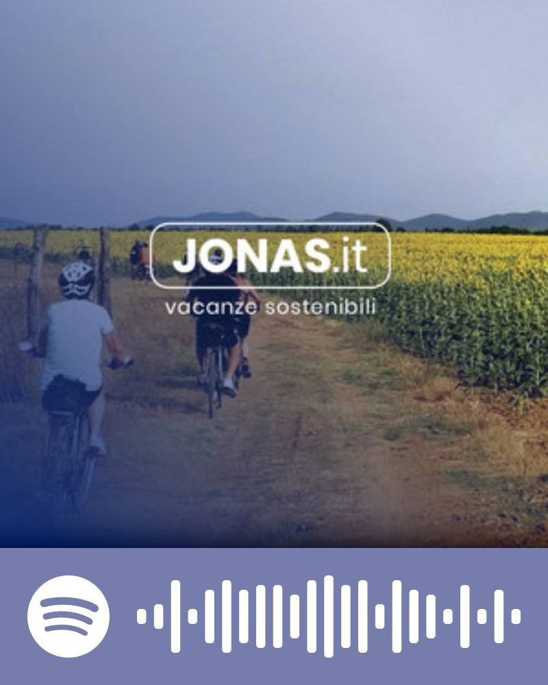 Scopri la playlist Spotify con Jonas