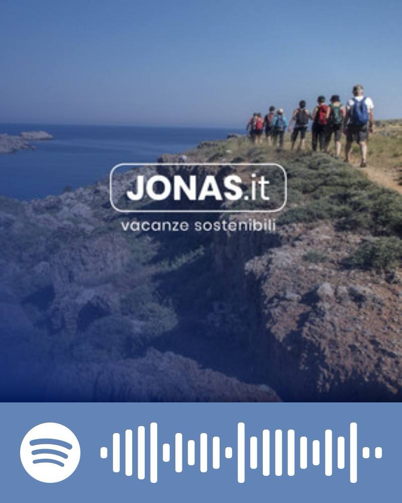 Scopri la playlist Spotify con Jonas