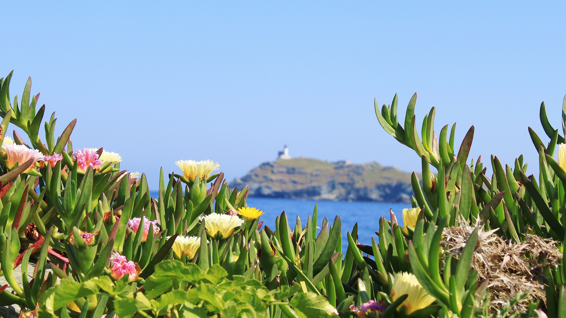 Vacanza in bici in Corsica tra Bastia e Saint-Florent