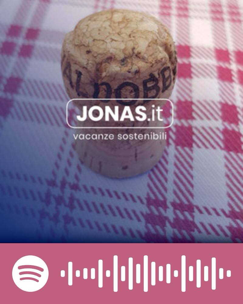 Scopri la playlist Spotify con Jonas
