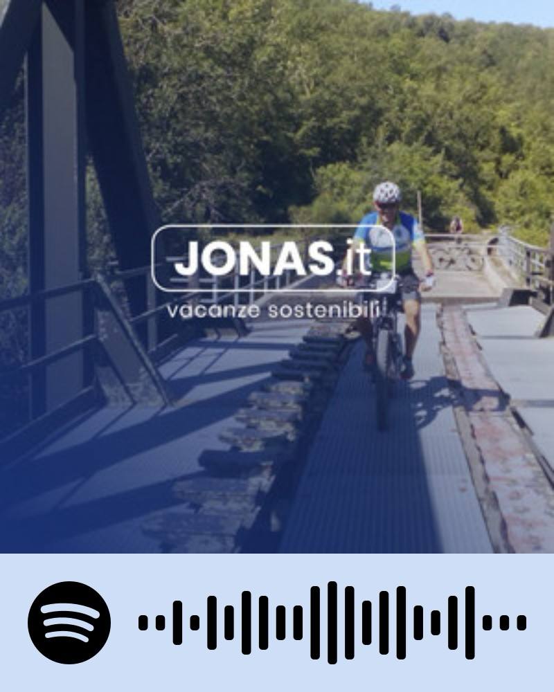 Scopri la playlist Spotify con Jonas