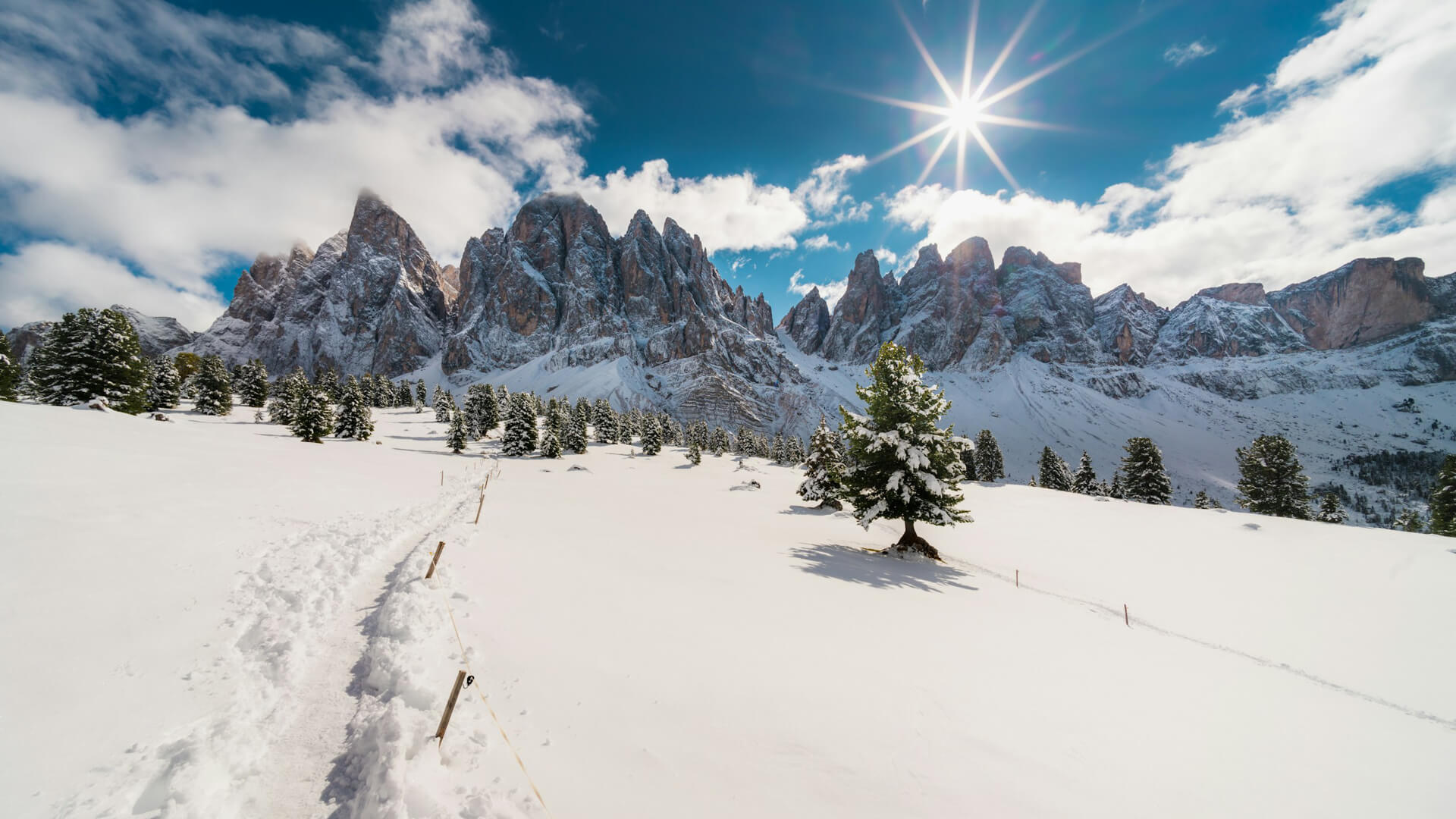 camminare sulla neve a piedi in Trentino