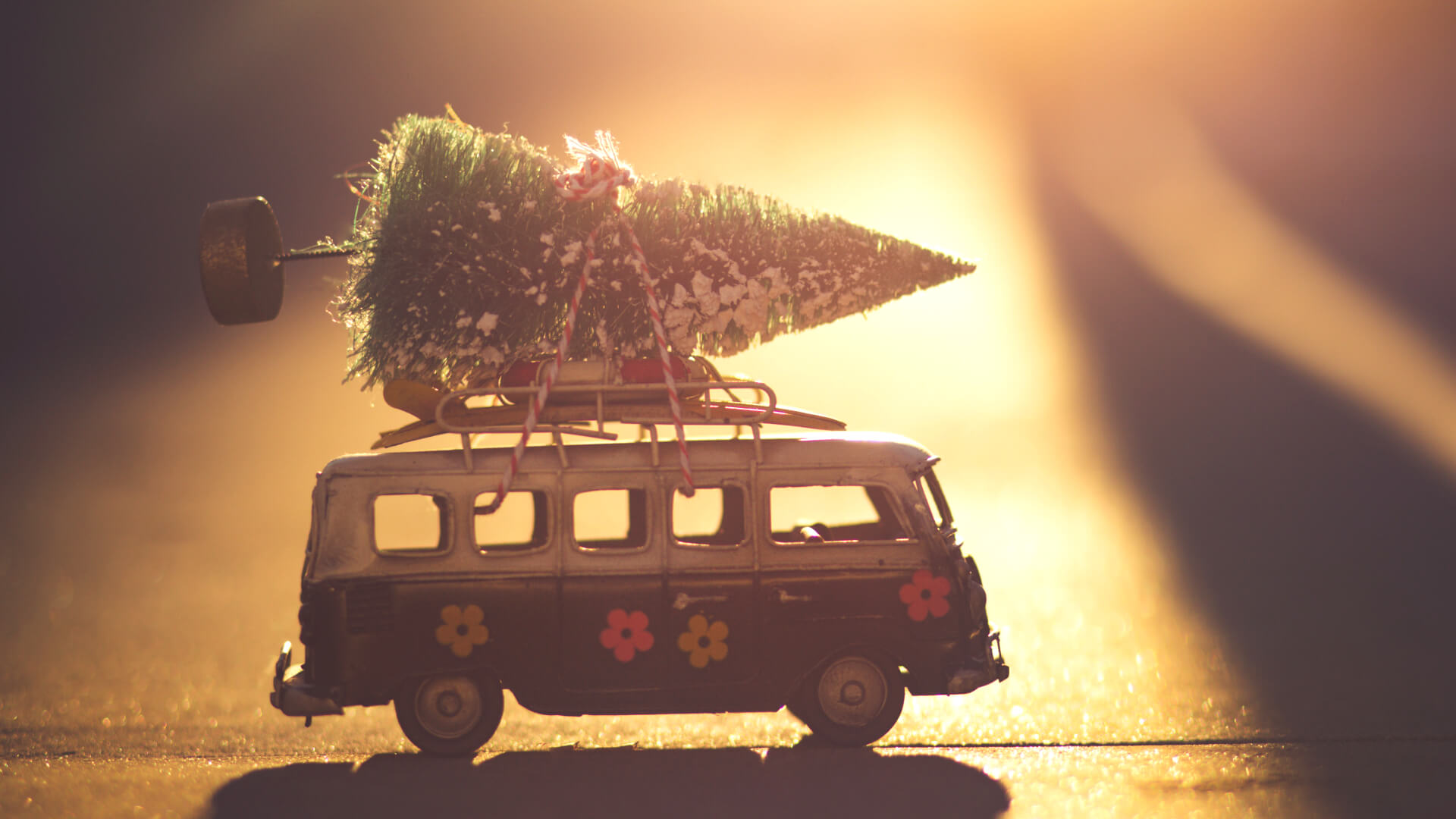 Capodanno - ultimi posti!