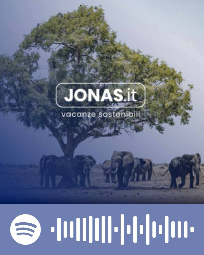 Scopri la playlist Spotify