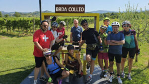 giro in bicicletta sul collio tra vigneti e degustazioni