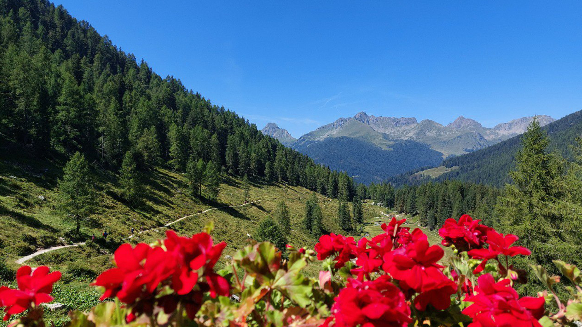 weekend in montagna in trentino con escursioni guidate