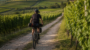 ciclotursimo tra i vigneti della valpolicella