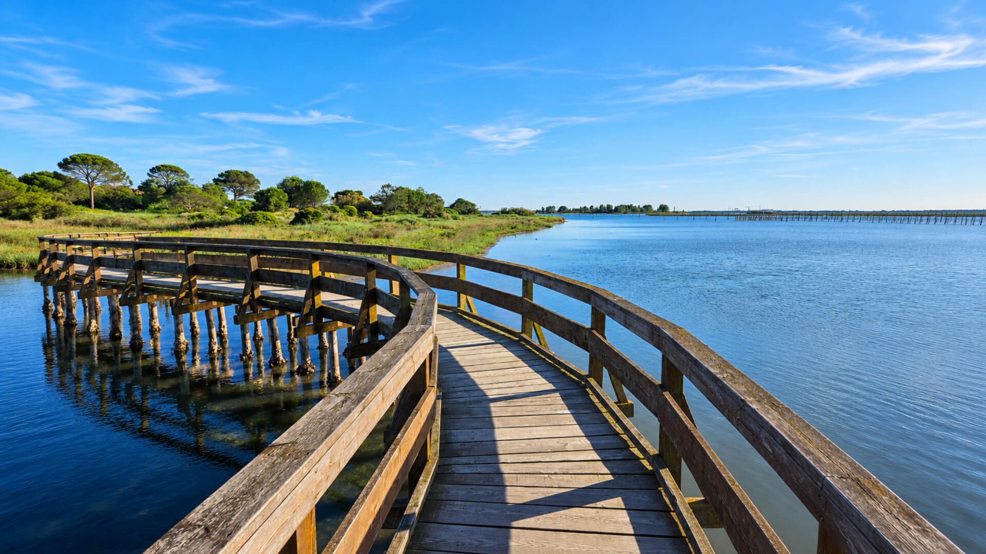 Bici e barca nel Delta del Po
