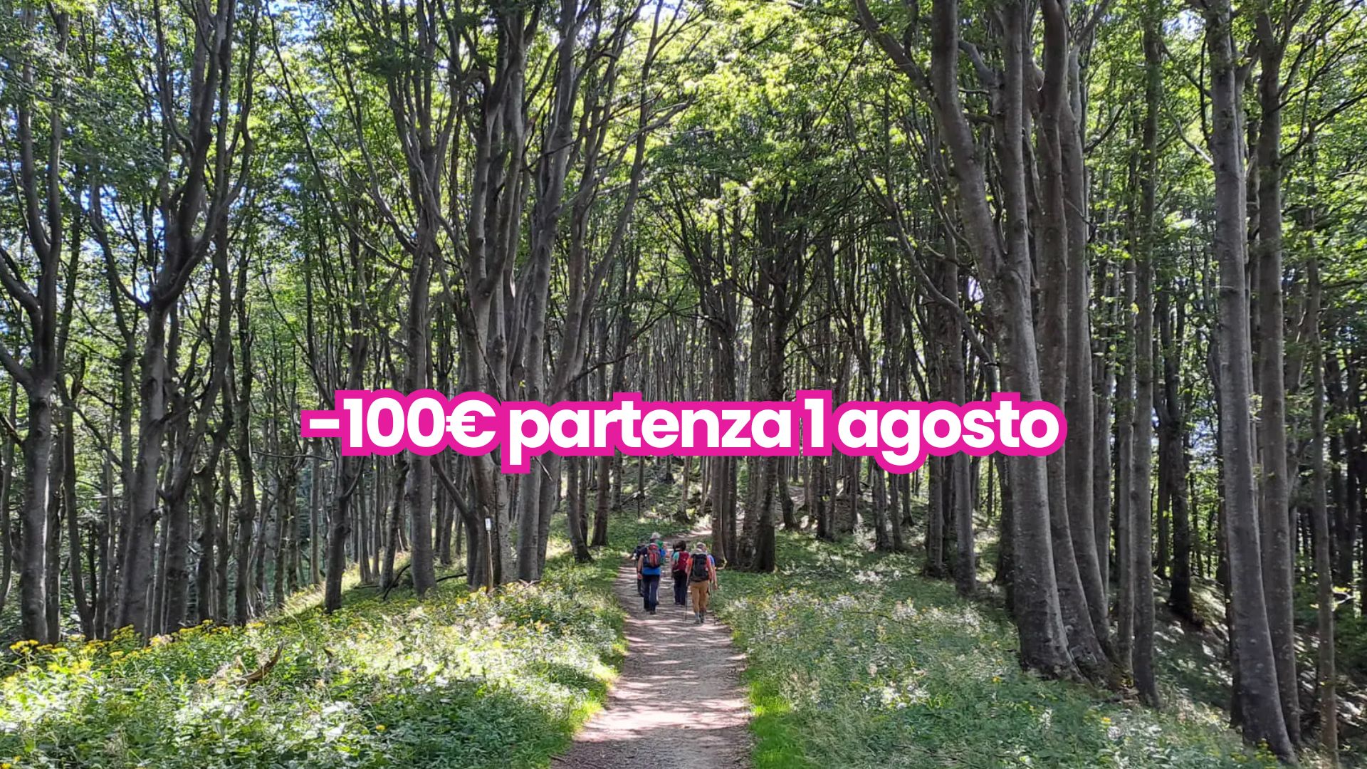 Trekking nella Valle Toscana del Casentino