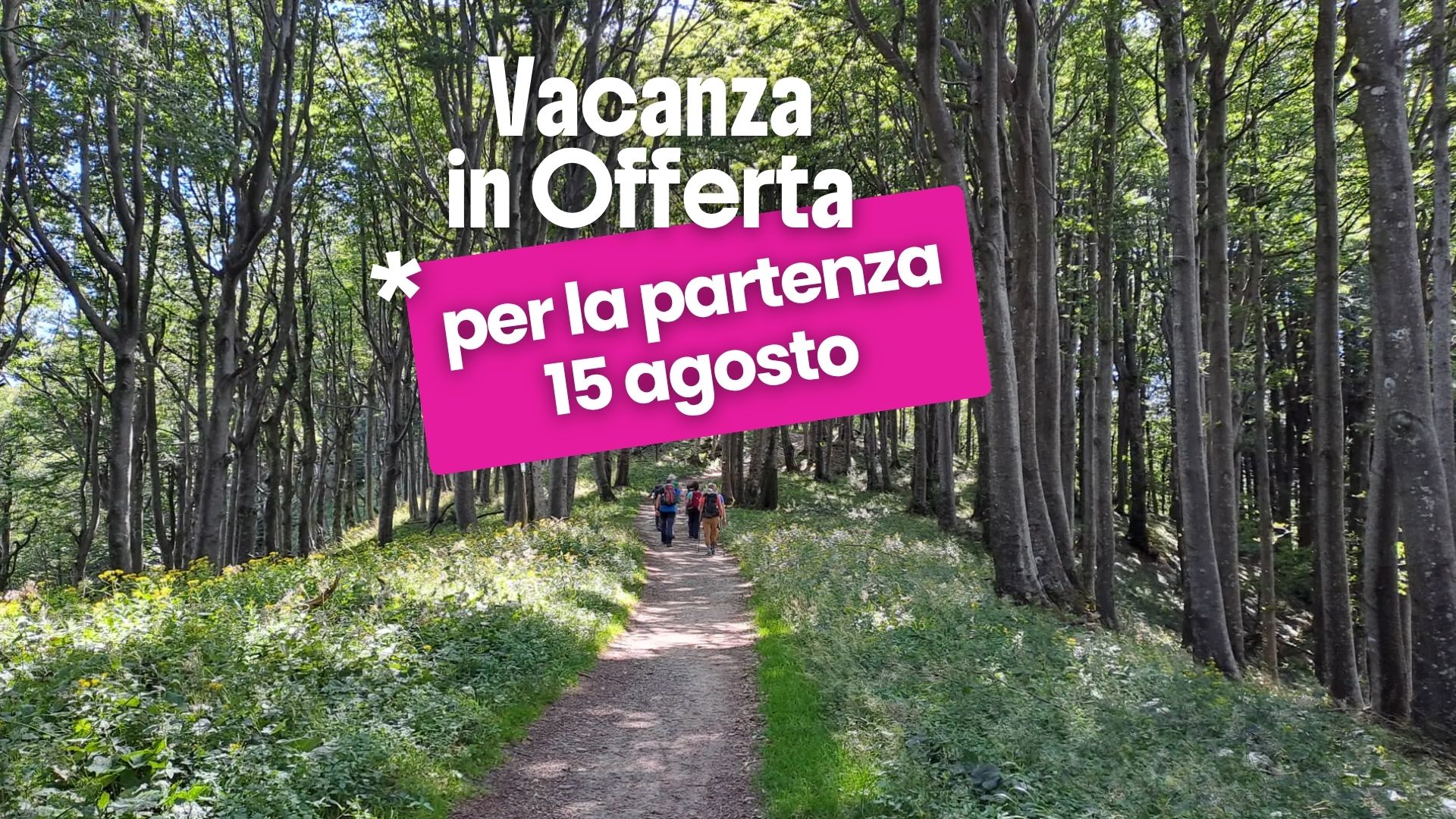 Vacation in the Casentino